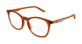 Puma PU0389O Optical Frame INJECTION